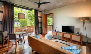 Canopy Suite