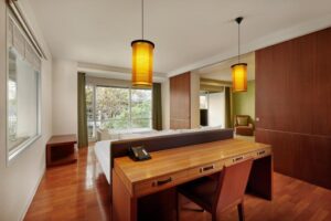 Deluxe One Bedroom Suite