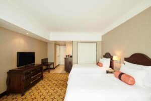 Deluxe Double or Twin Room
