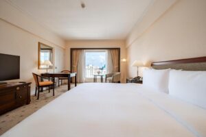 Deluxe King City View