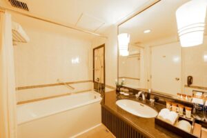 Deluxe King City View