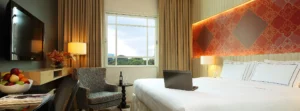 Deluxe Plus Room