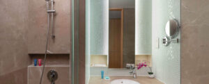 Deluxe Plus Room