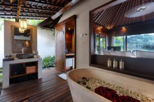 Deluxe Pool Villa with River