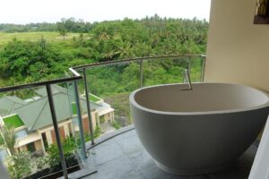 Deluxe Premium Room