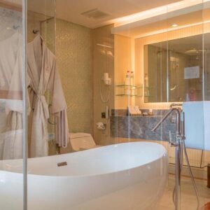 Deluxe Premium Room