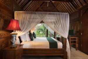Deluxe Rainforest Villa