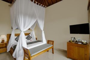 Deluxe Room with Valley View