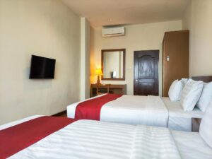 Deluxe Three-Bedroom Apartment