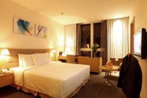 Executive Deluxe Double or Twin Room