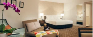 Family Room with Sofa Bed