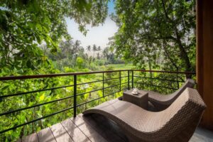 Jungle Suite