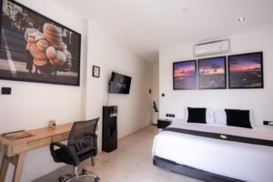 One-Bedroom Standard Apartment