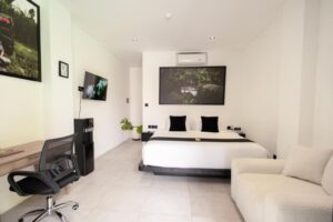 One-Bedroom Standard Apartment