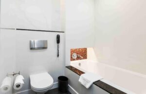 One-Bedroom Suite with River View