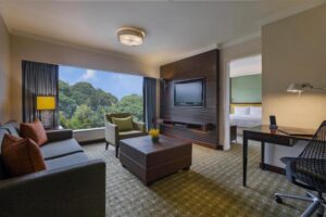One Bedroom Suite