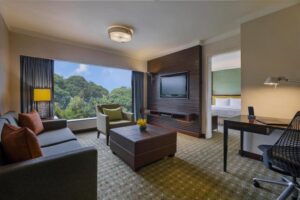 One Bedroom Suite