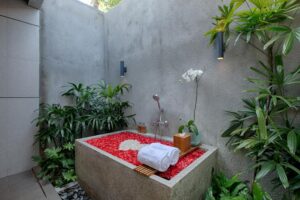 One-Bedroom Villa
