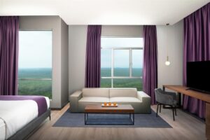 Premier Room Forest View