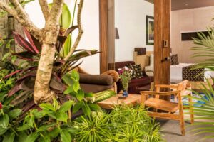 Premier Suites