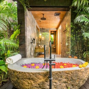 Premium Jabu with Plunge Pool