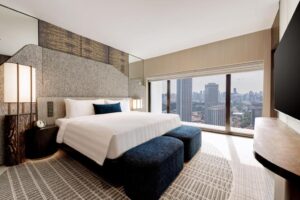 Skyline Suite