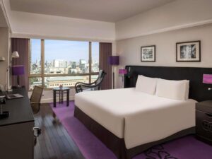 Superior Double Room with City View