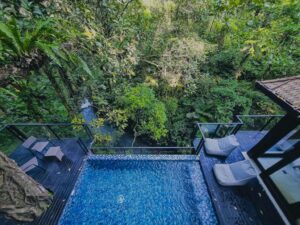 Two Bedroom Presidential Villa with River View