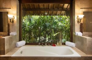 Two-Bedroom Valley View Villa