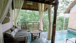 Valley View Personal Plunge Pool